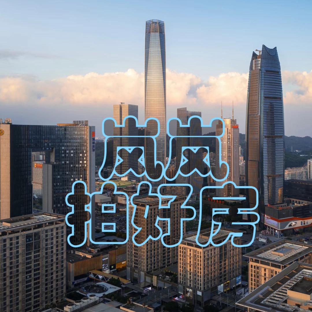 东莞法拍房-岚岚