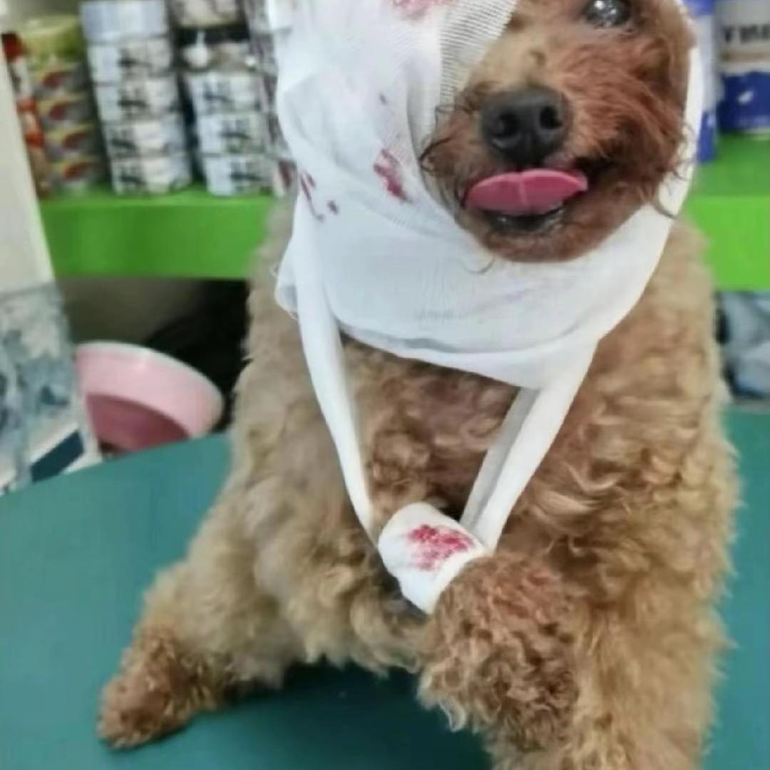 金华市大蒙科技有限公司