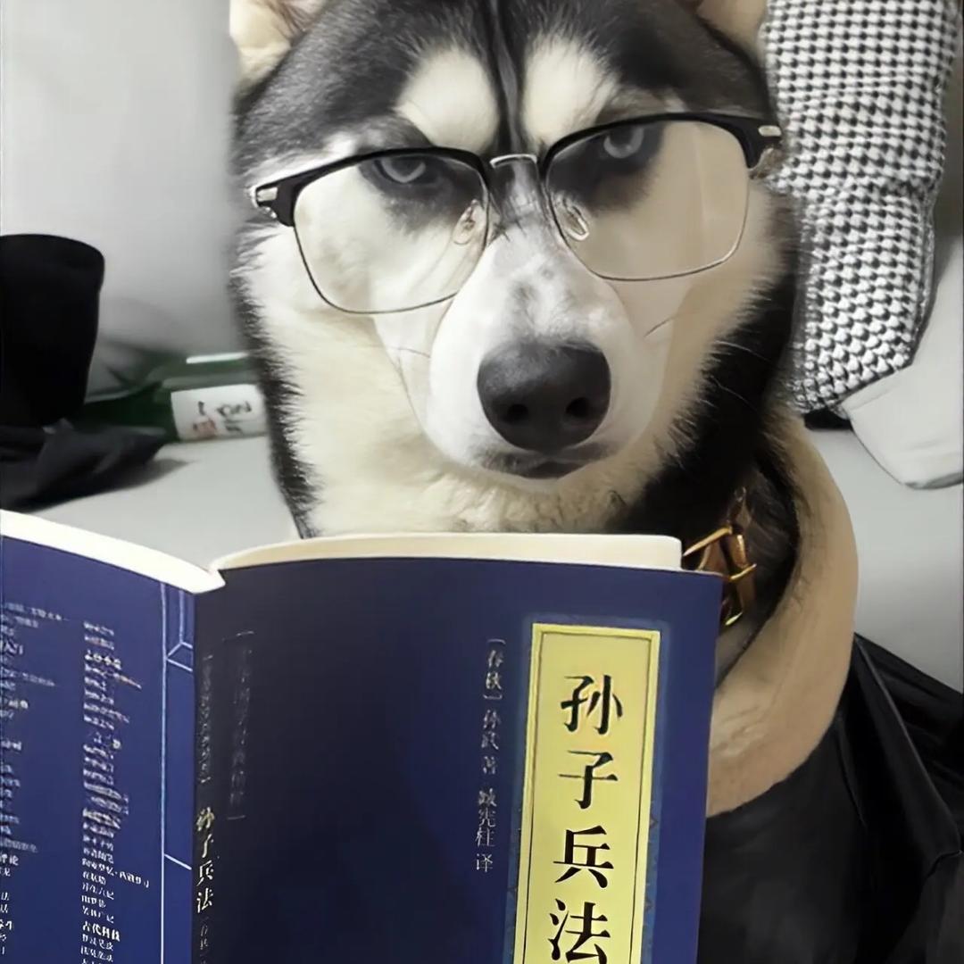 虾仁不扎眼