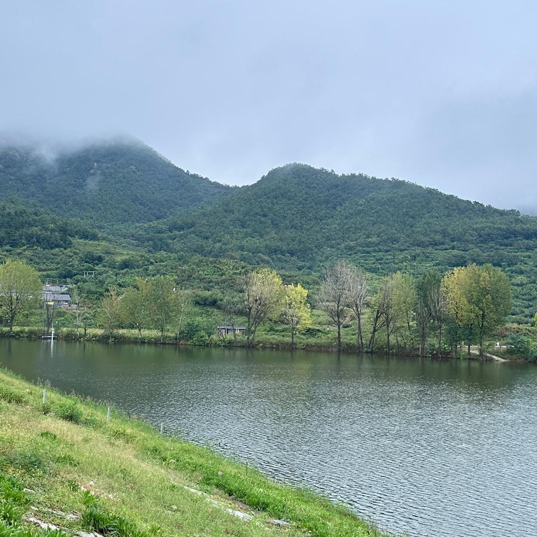 蒼骤翼搿墒𨭉赣劐悳镤𦒍鵀黹鼘鋆棄臯驔