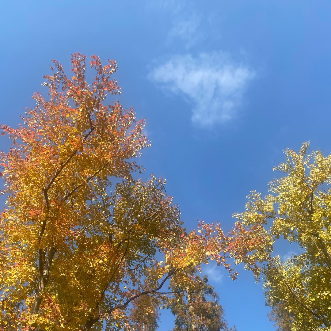 江苏-塑料粒子原料