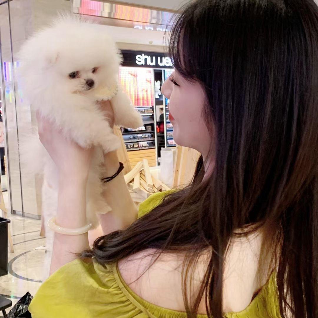 小美酒店精选