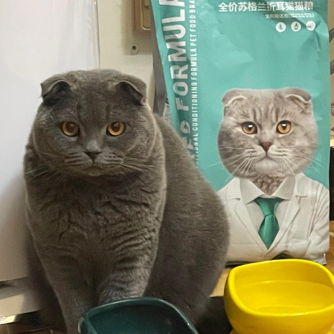 Tobe