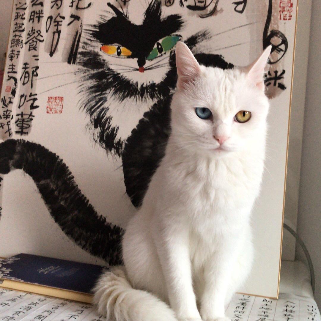 吉祥書畫