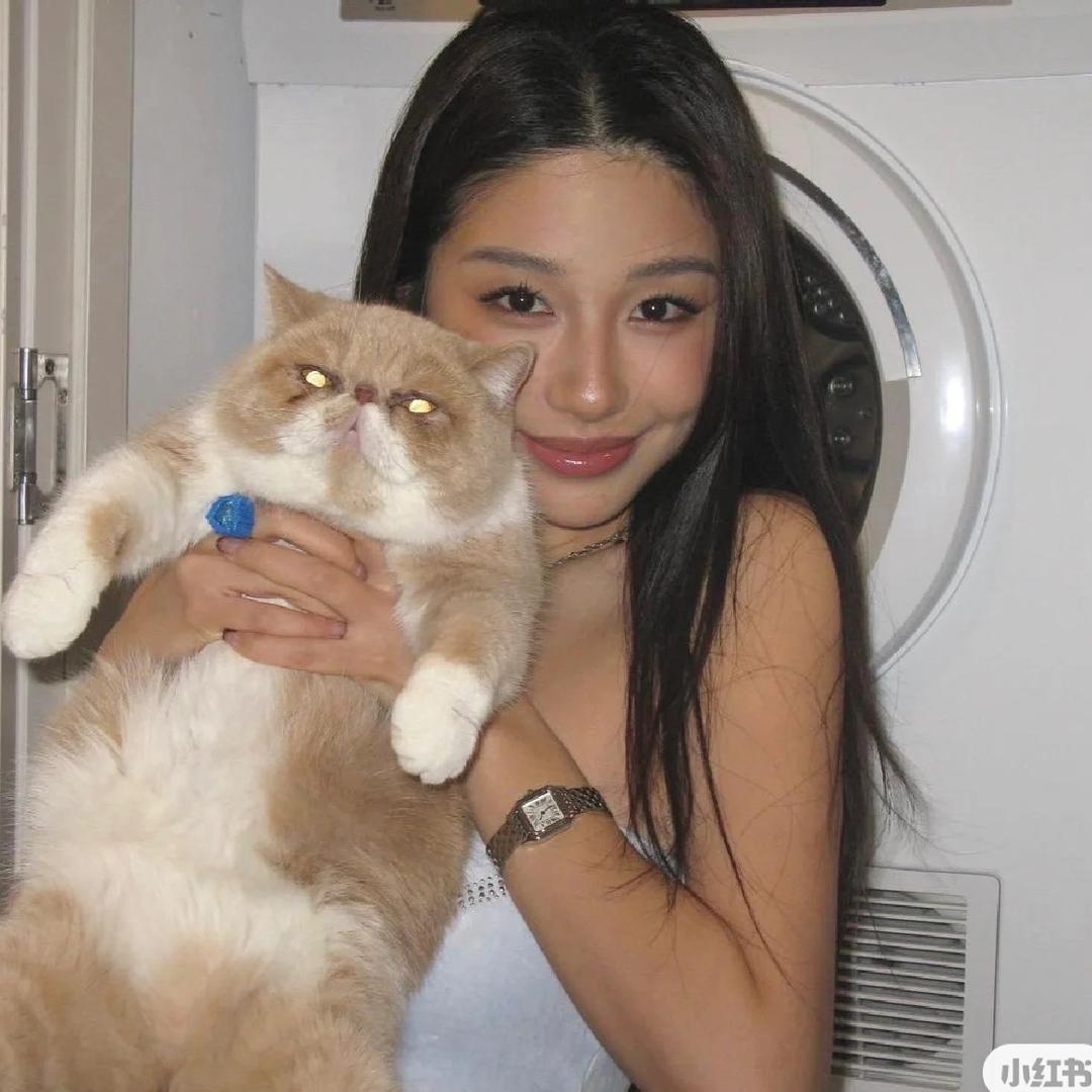 D邓慧琳