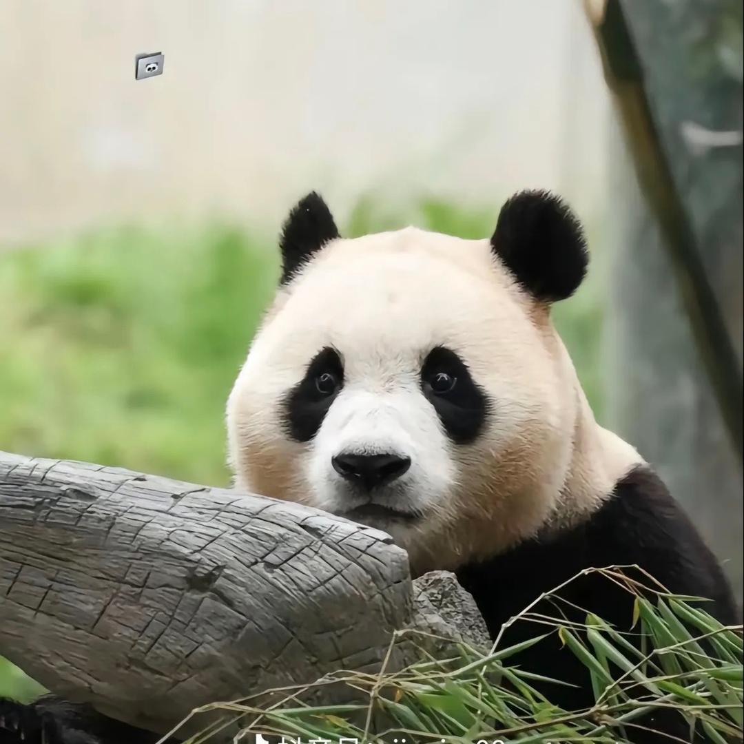 哈尔滨装修设计 全屋定制设计