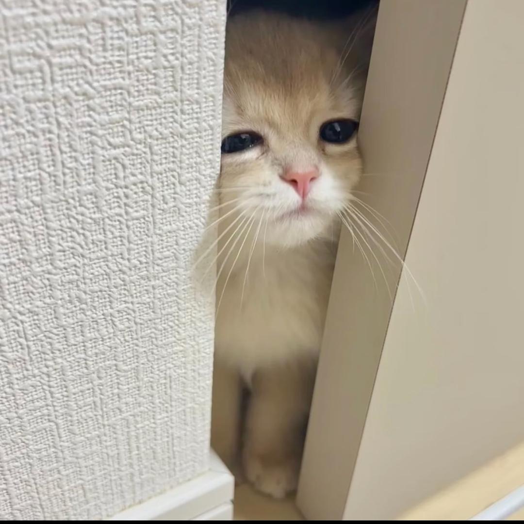 从回归线倒叙