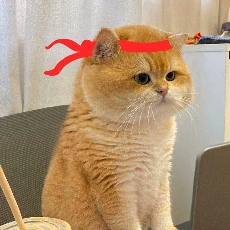 富贵小锦鲤