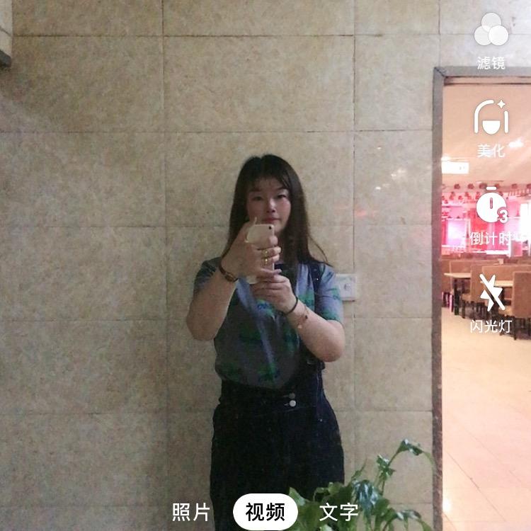 1982🐶连