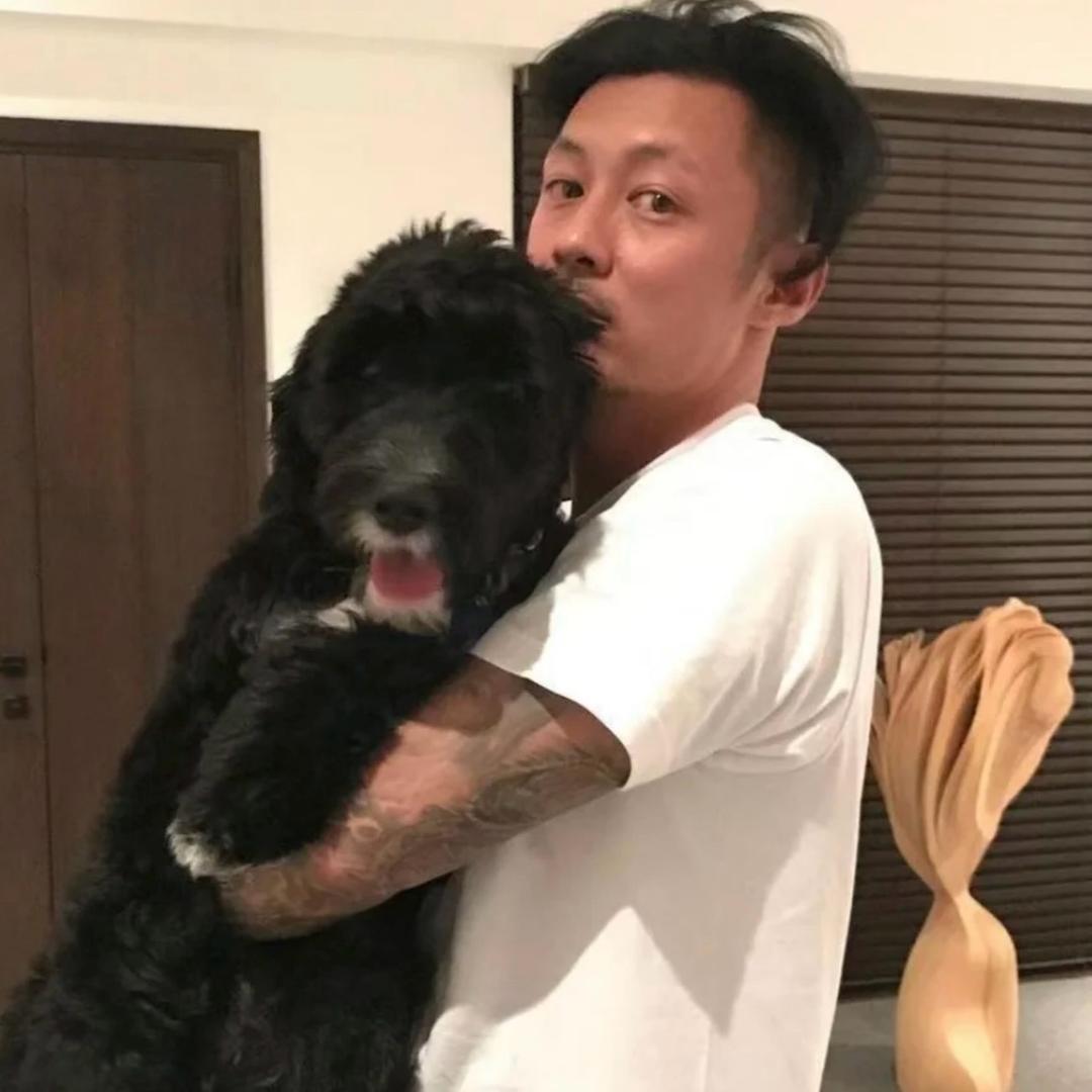 步步.