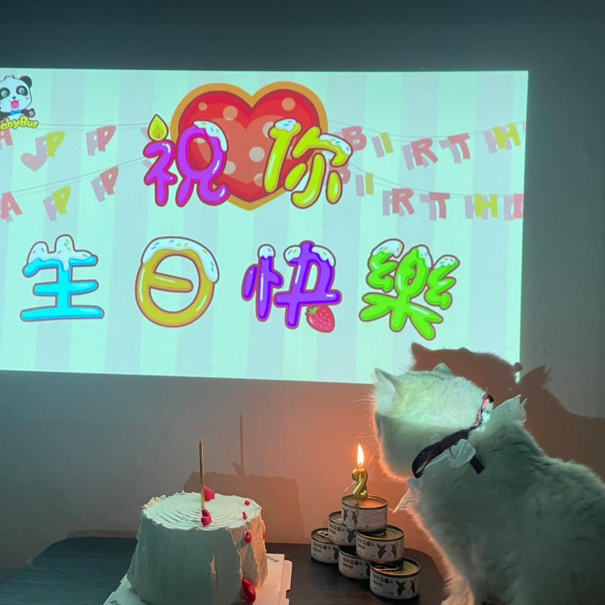 屁屁遛弯日记