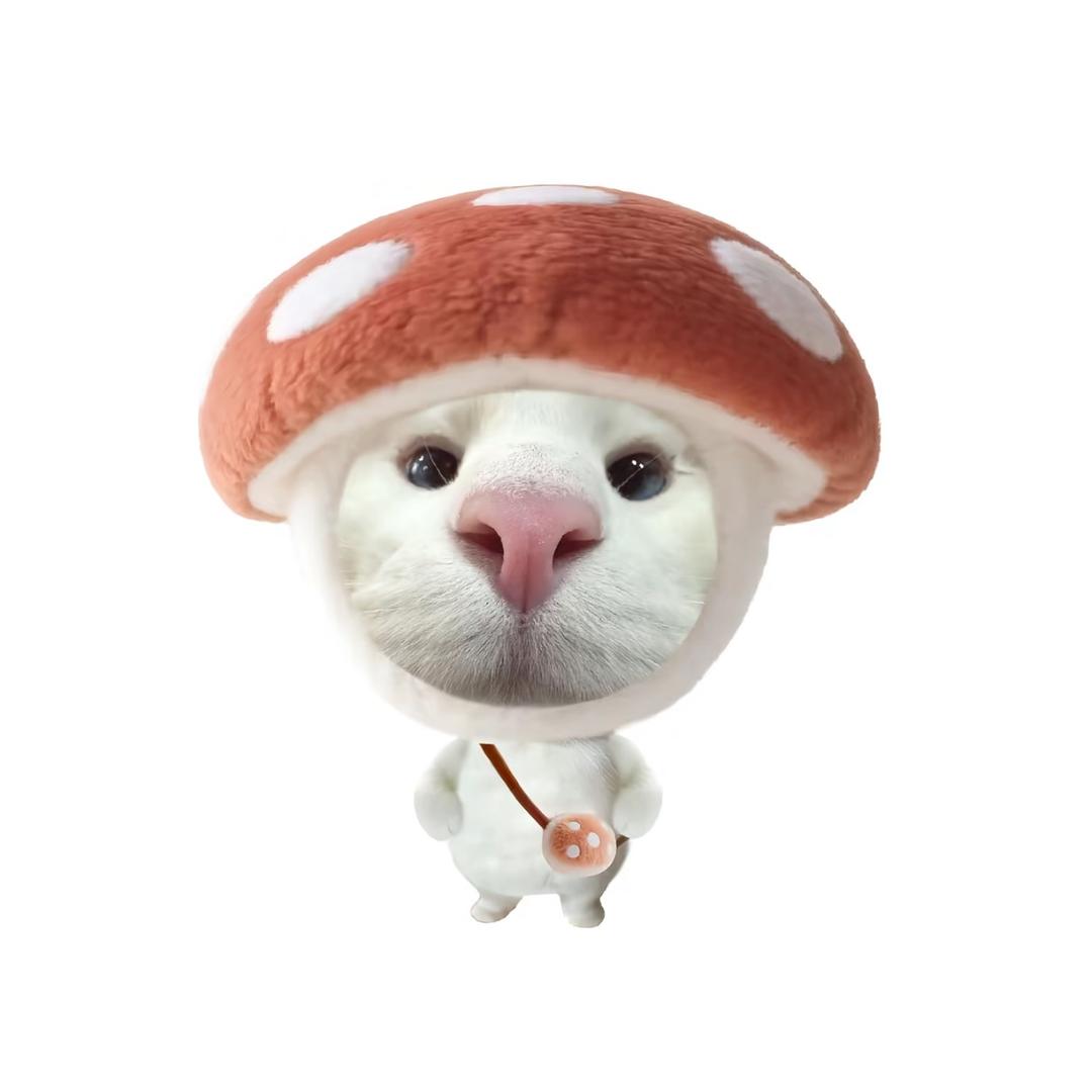 🐱