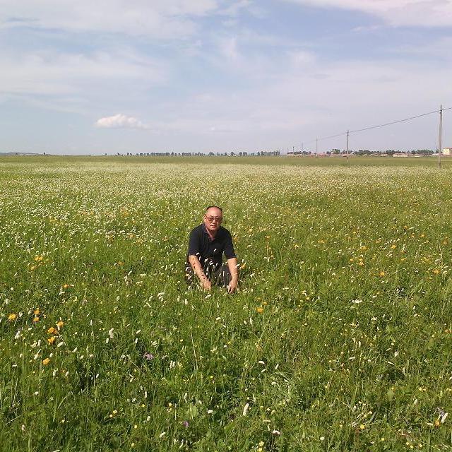 用户7752993399543心太软