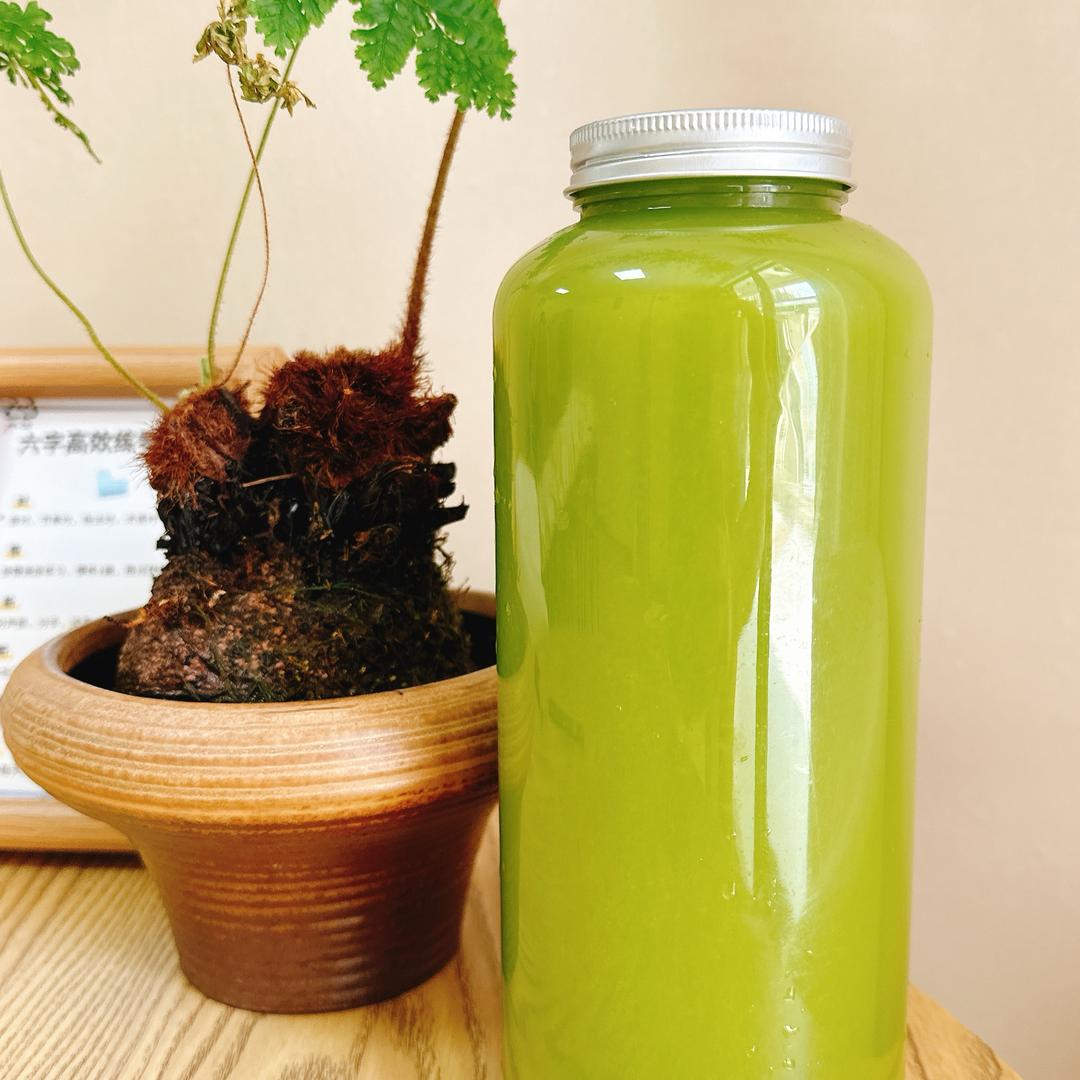 燕子•爱喝西芹汁