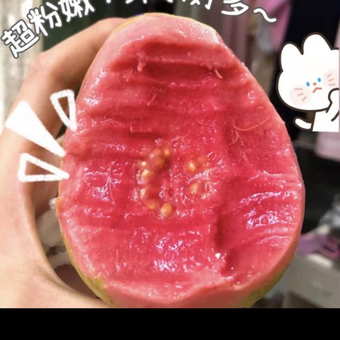 领鲜食尚