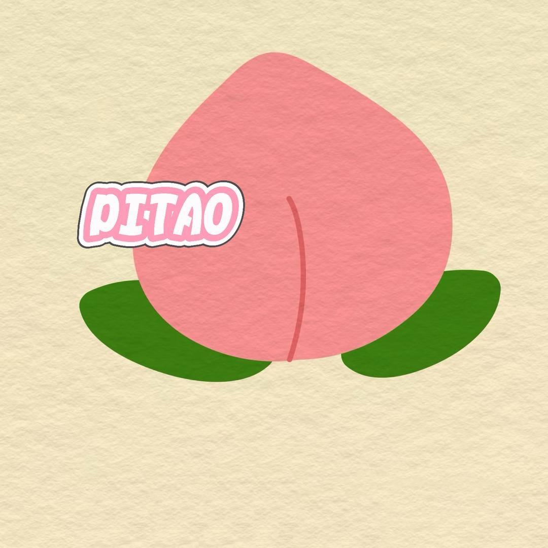 PITAO女装