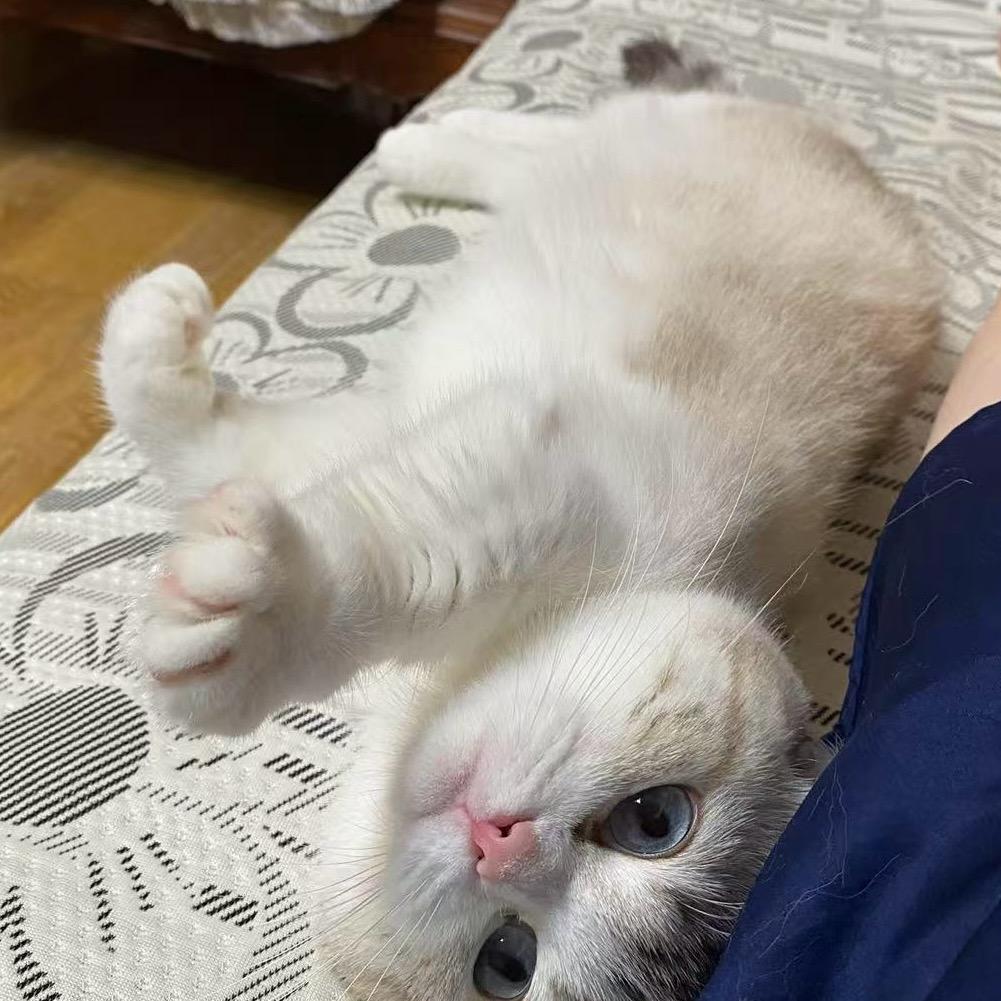 用户83653892