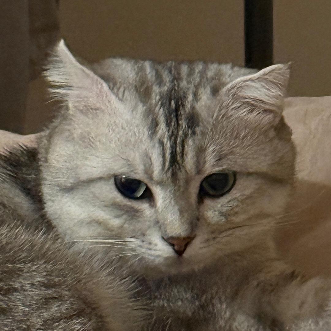 我叫Abb