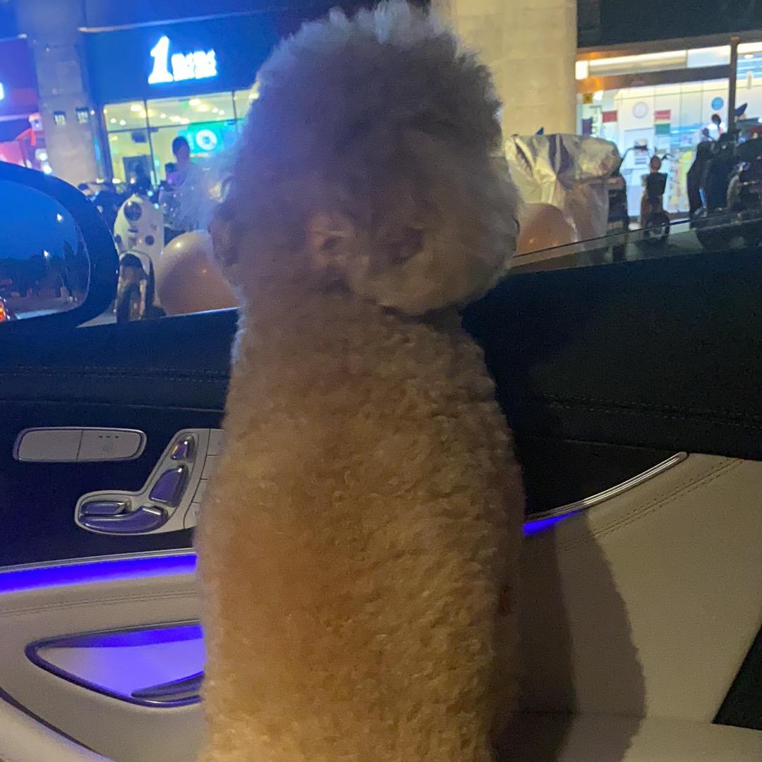 相逢已是上上簽