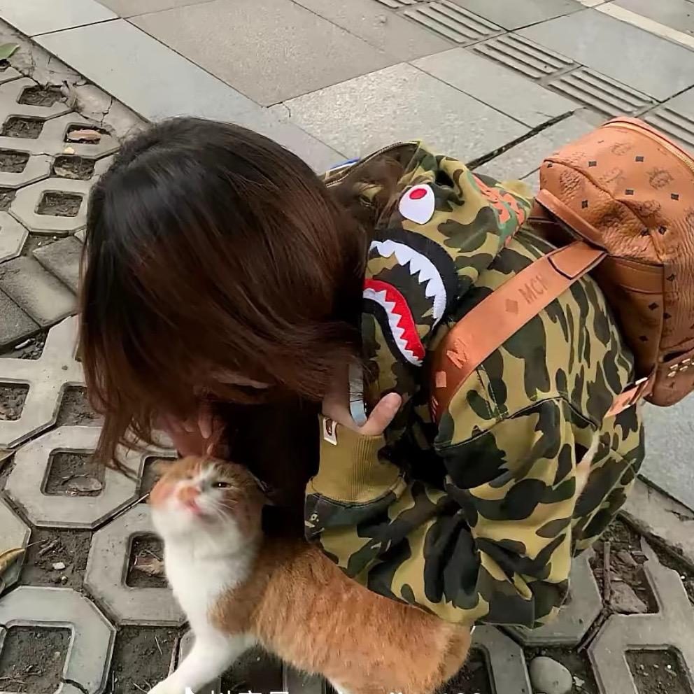 茄少.🐍