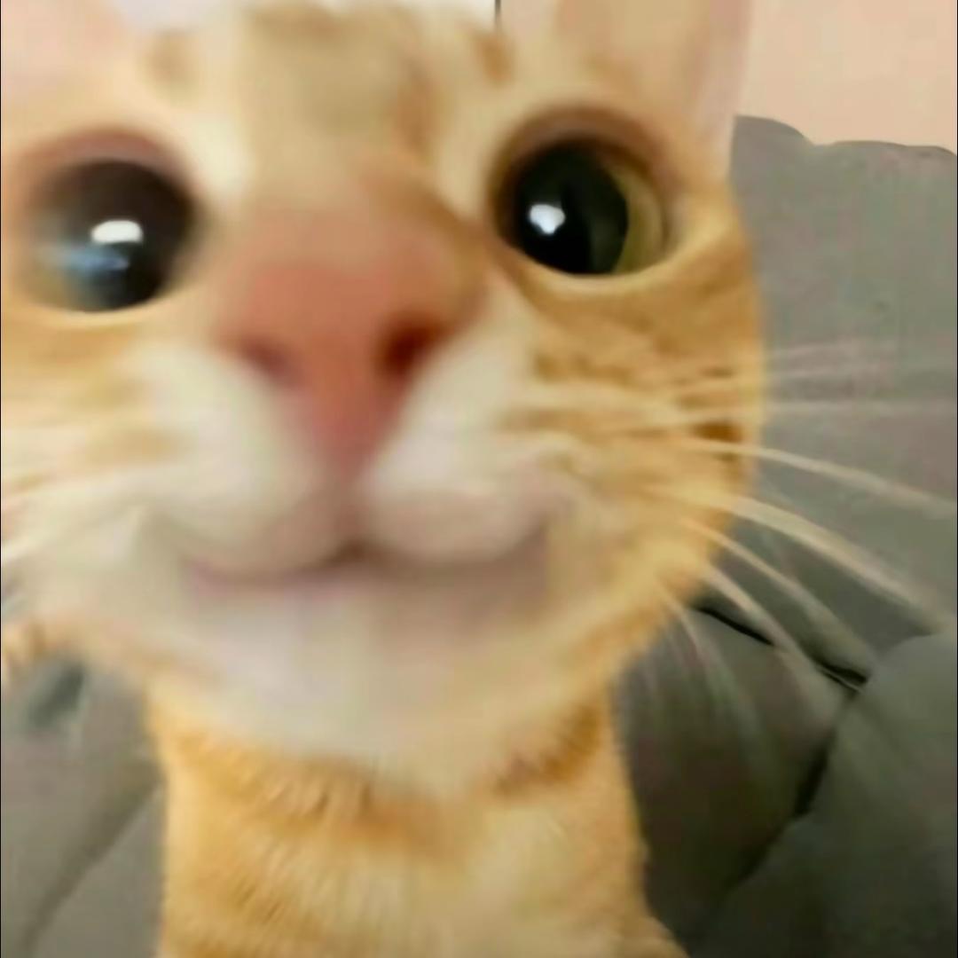 懒大王^_^