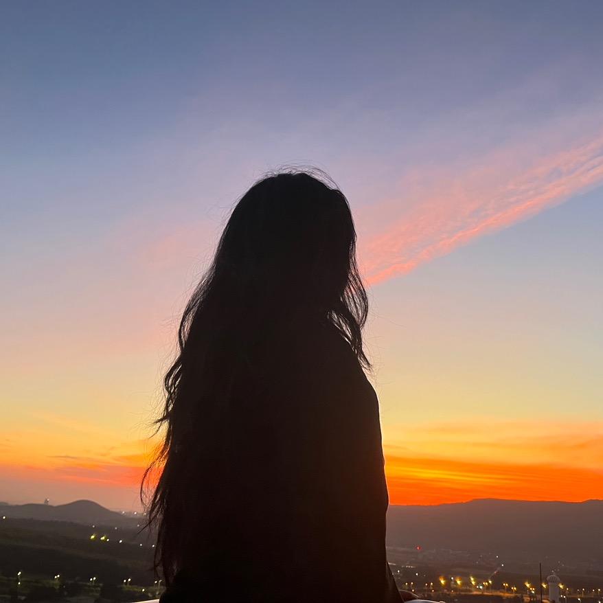唔西.迪西.🌾
