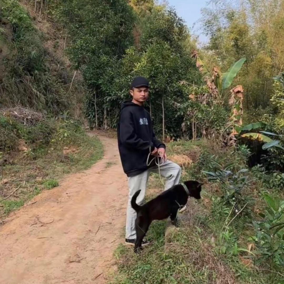 村（一只猎犬的使命）