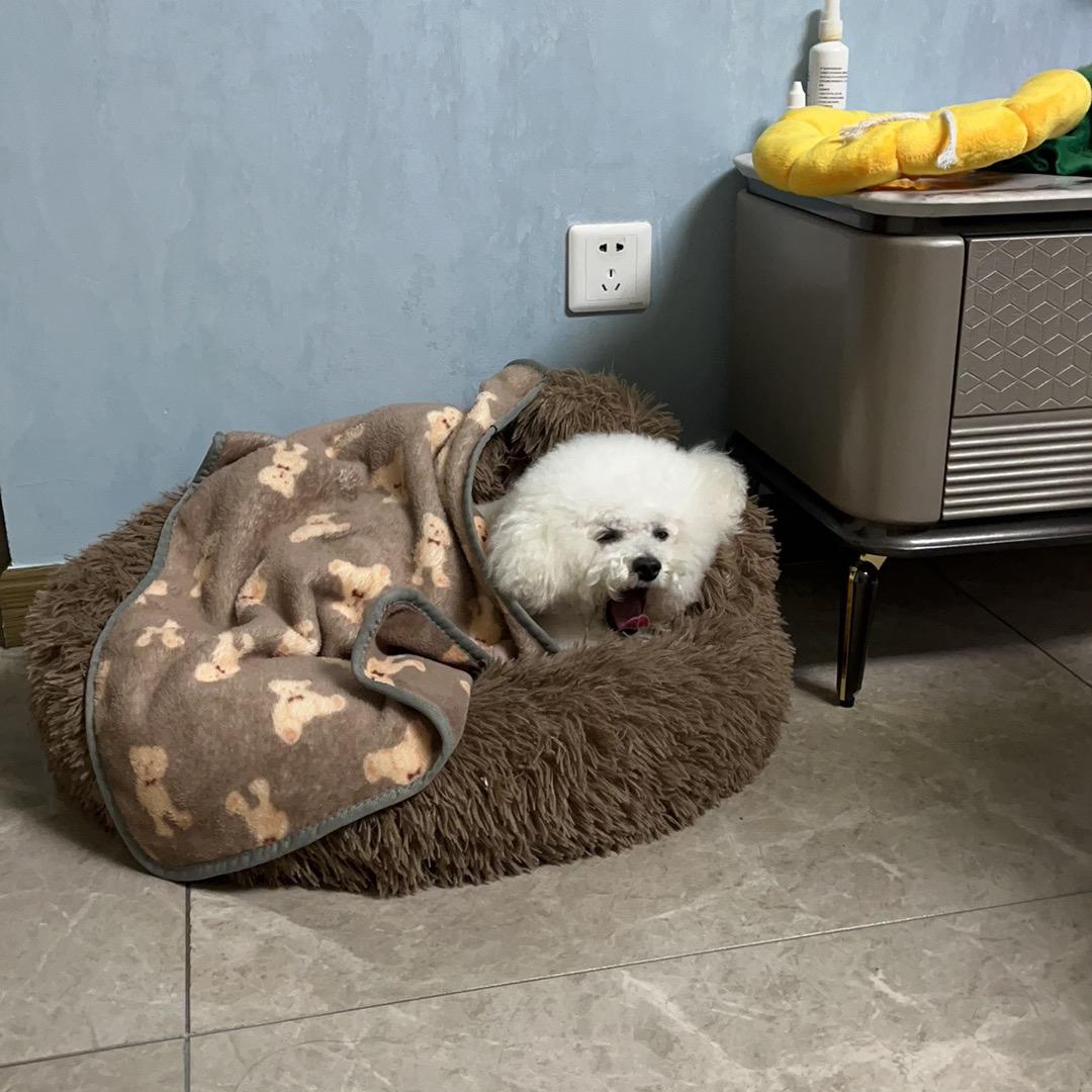永蘅