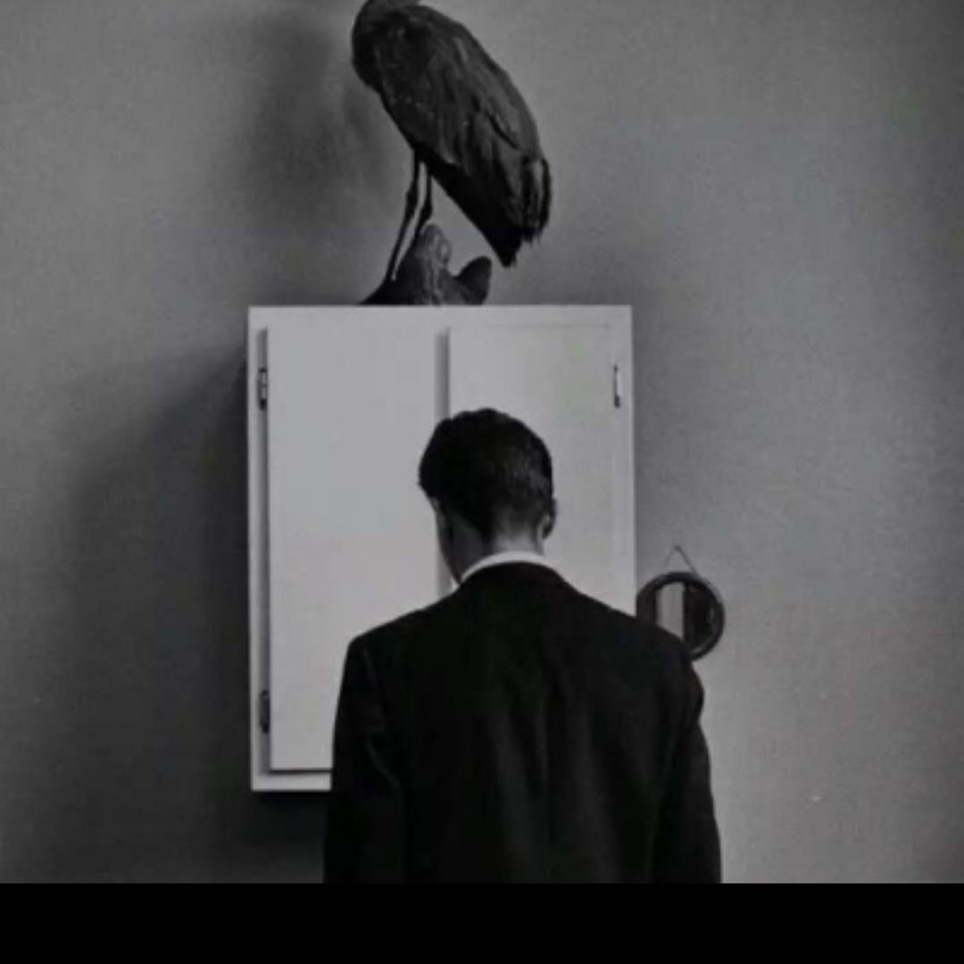 硕子（饭搭子）