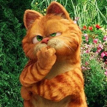 爱喝酒的加菲猫