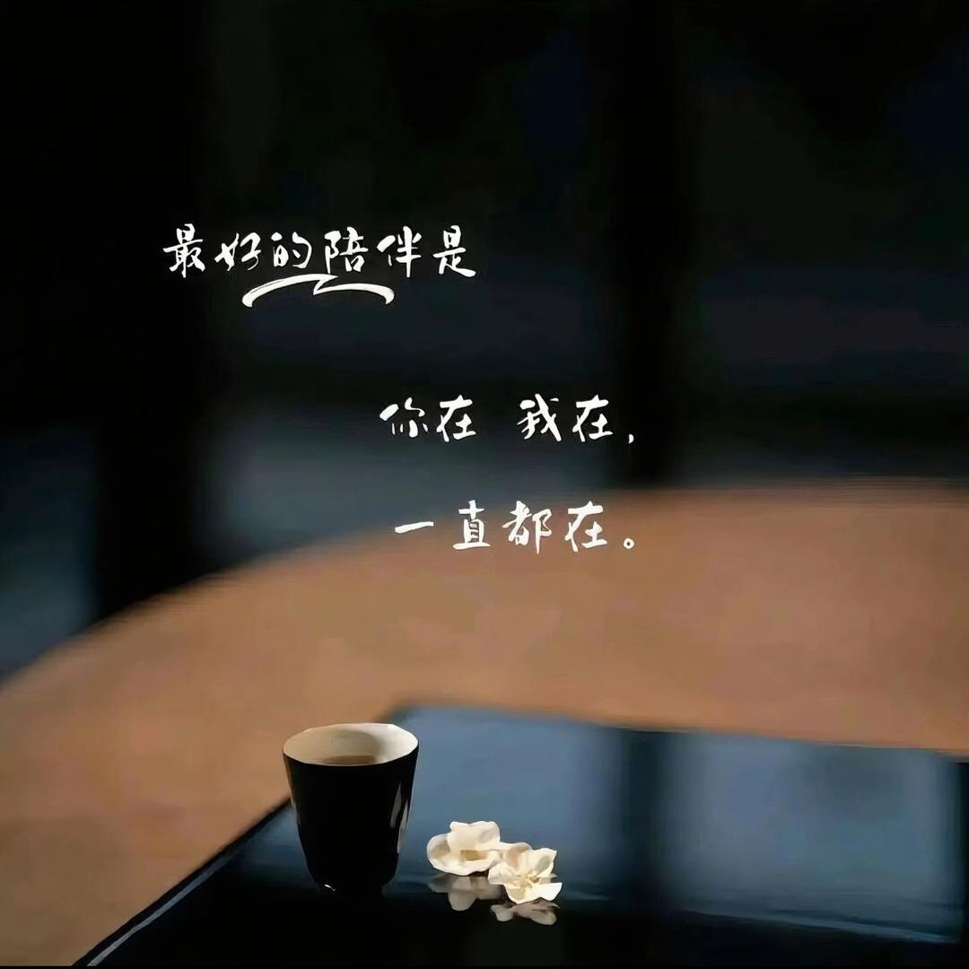 恸ヾ🕊️