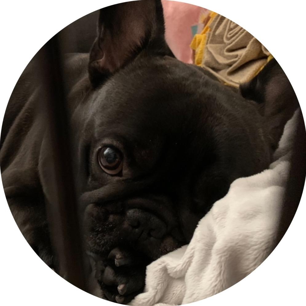 咘咘nini（bluecookie）