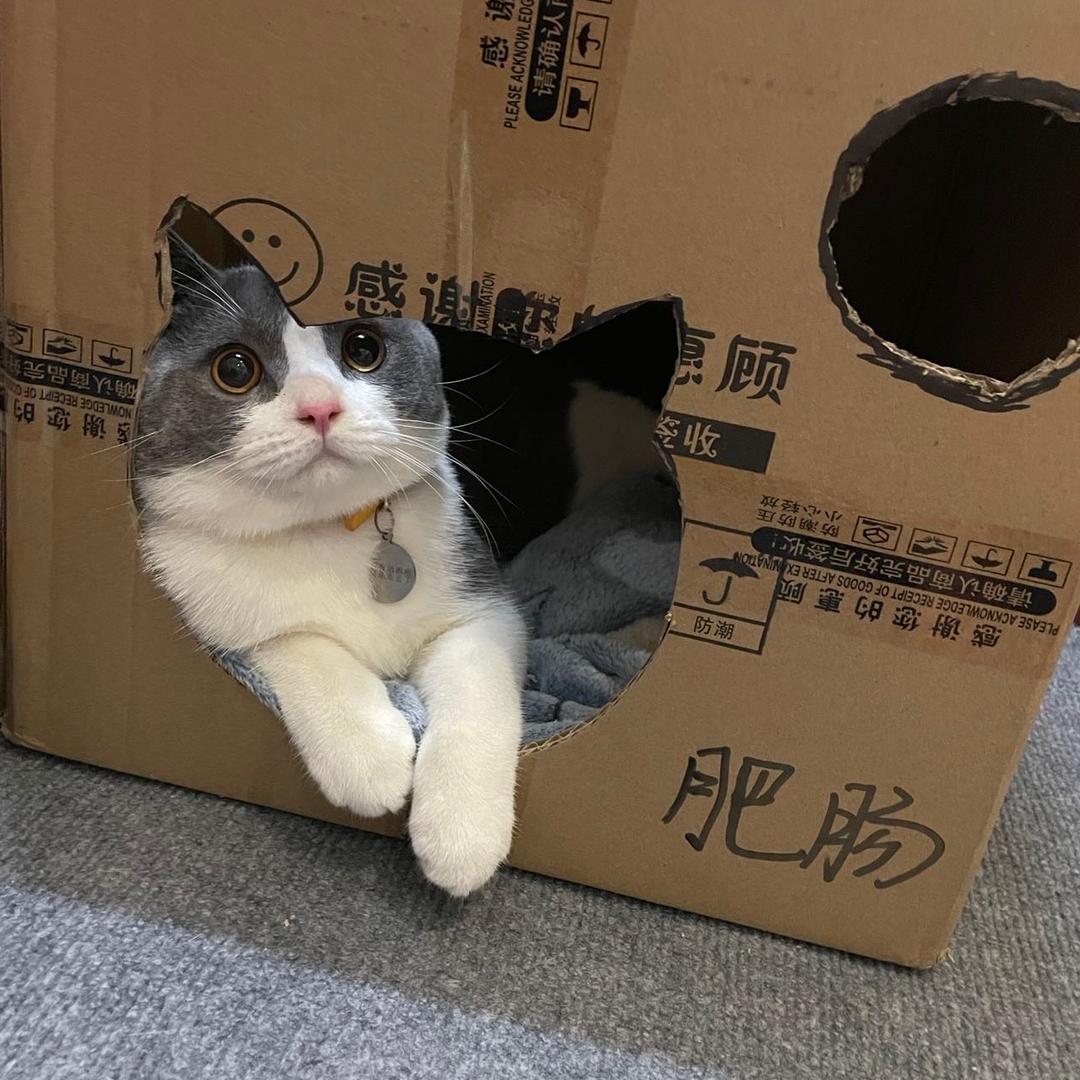 那不是好厉害