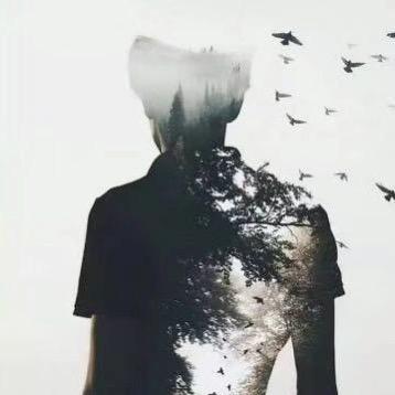 -茶悦