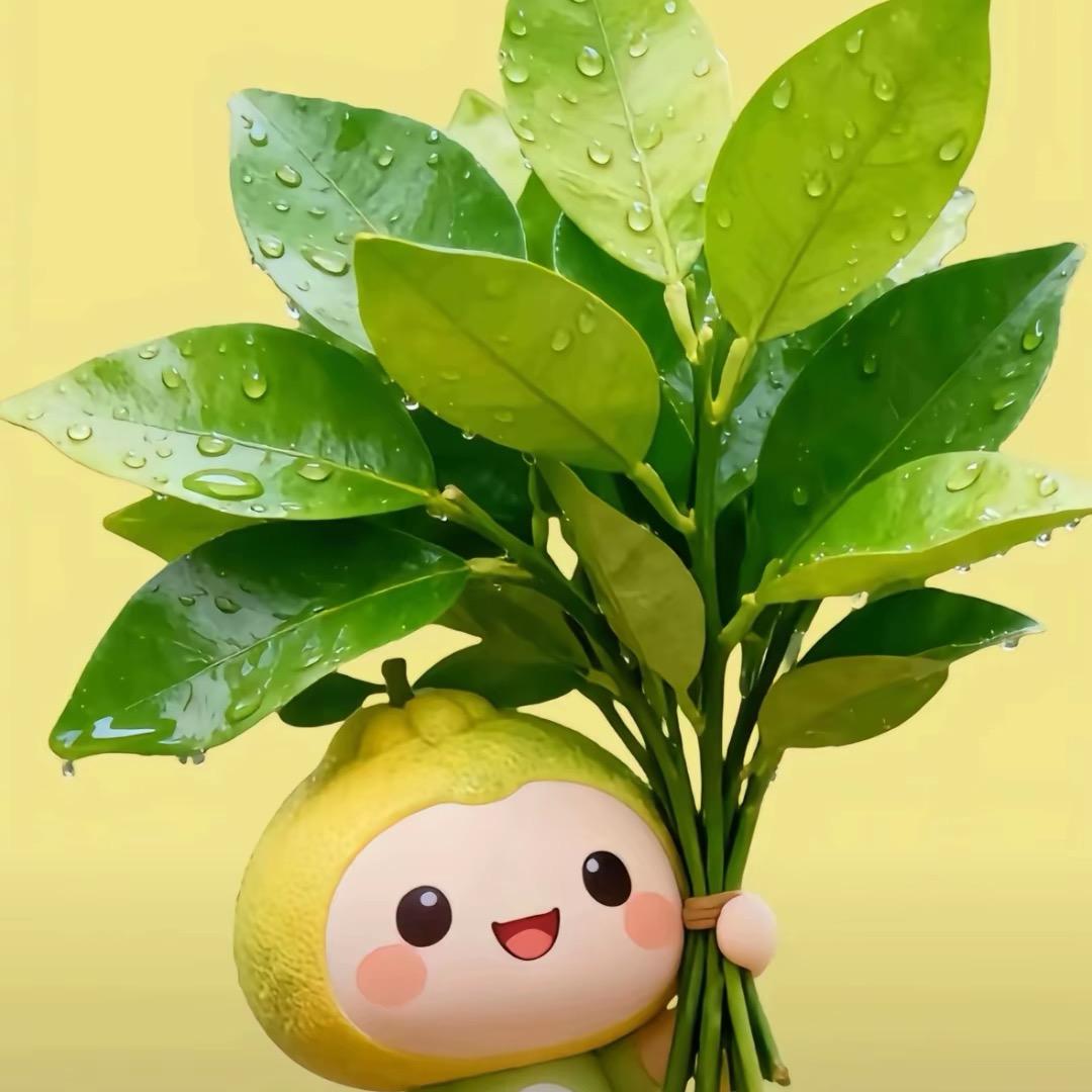 万星星