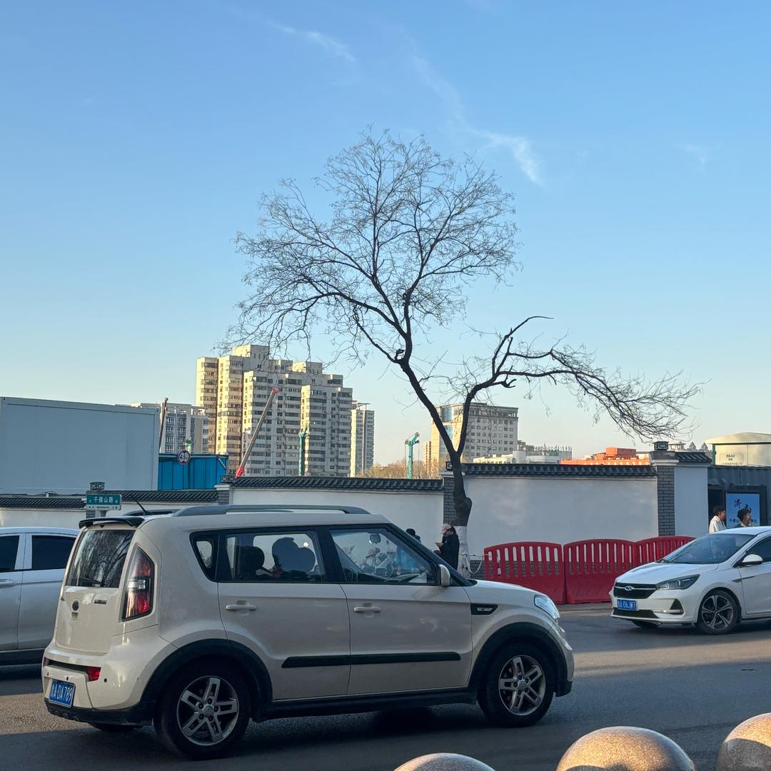 我是一根葱