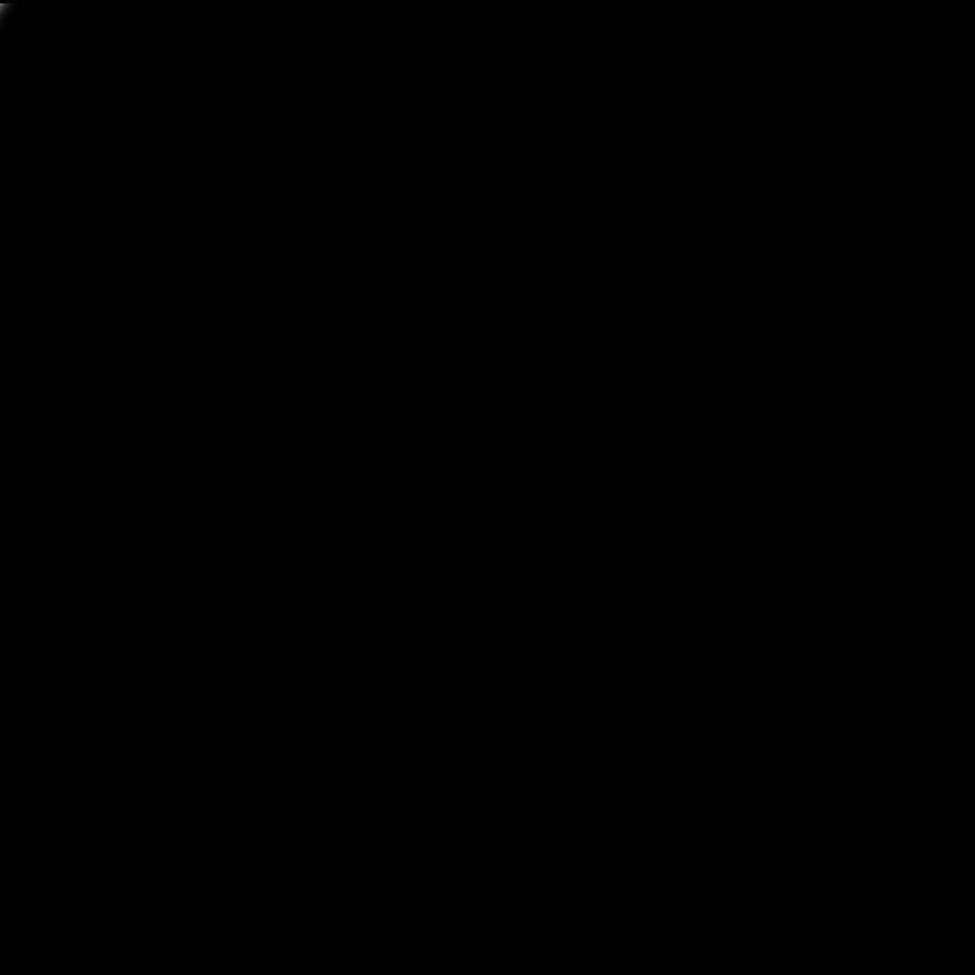 gigigigi