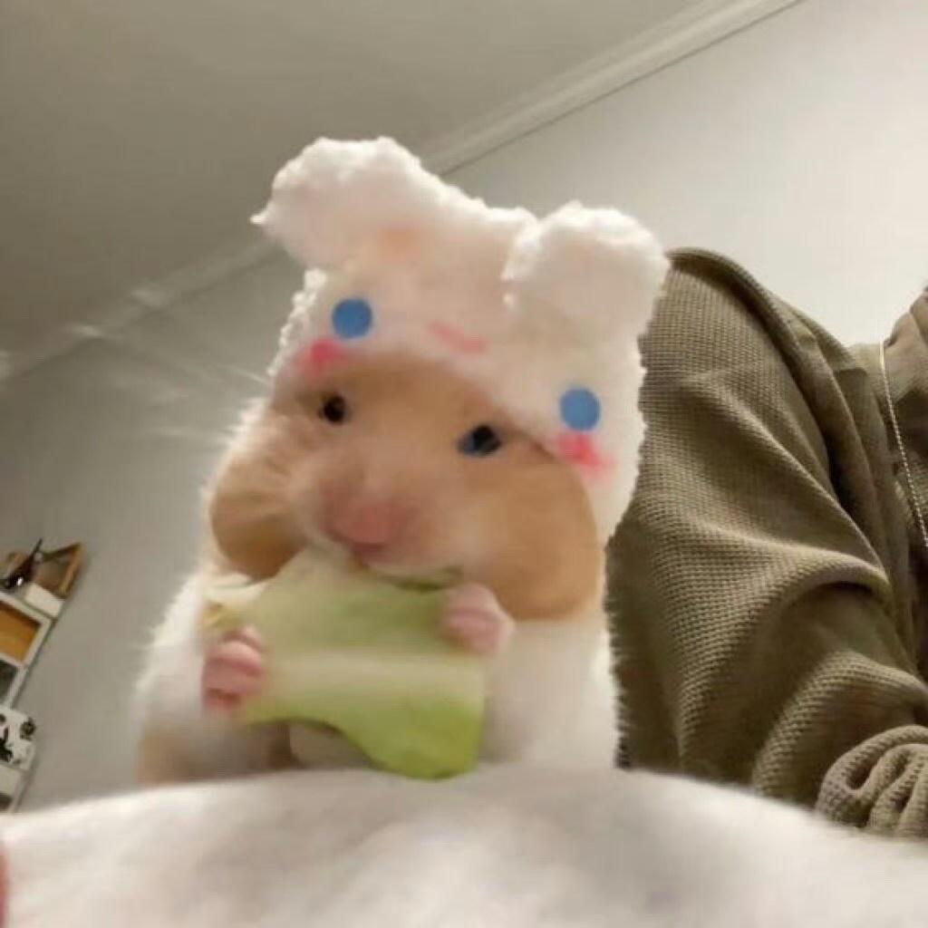 心想事成专辑周边