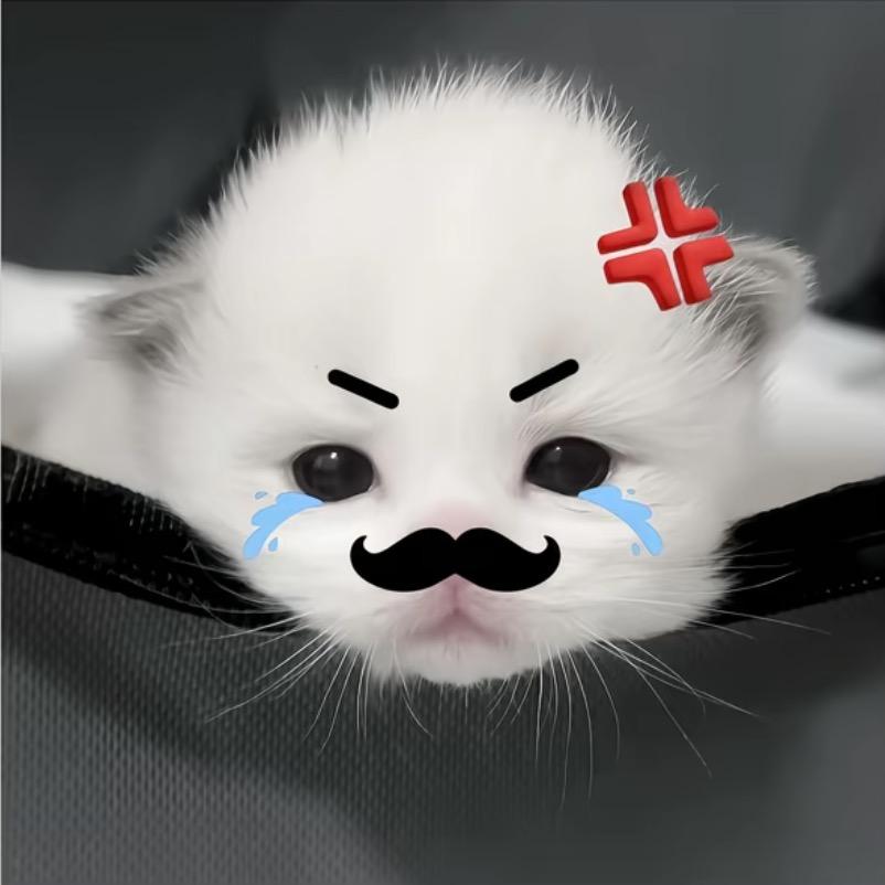 小鱼泪泪宅