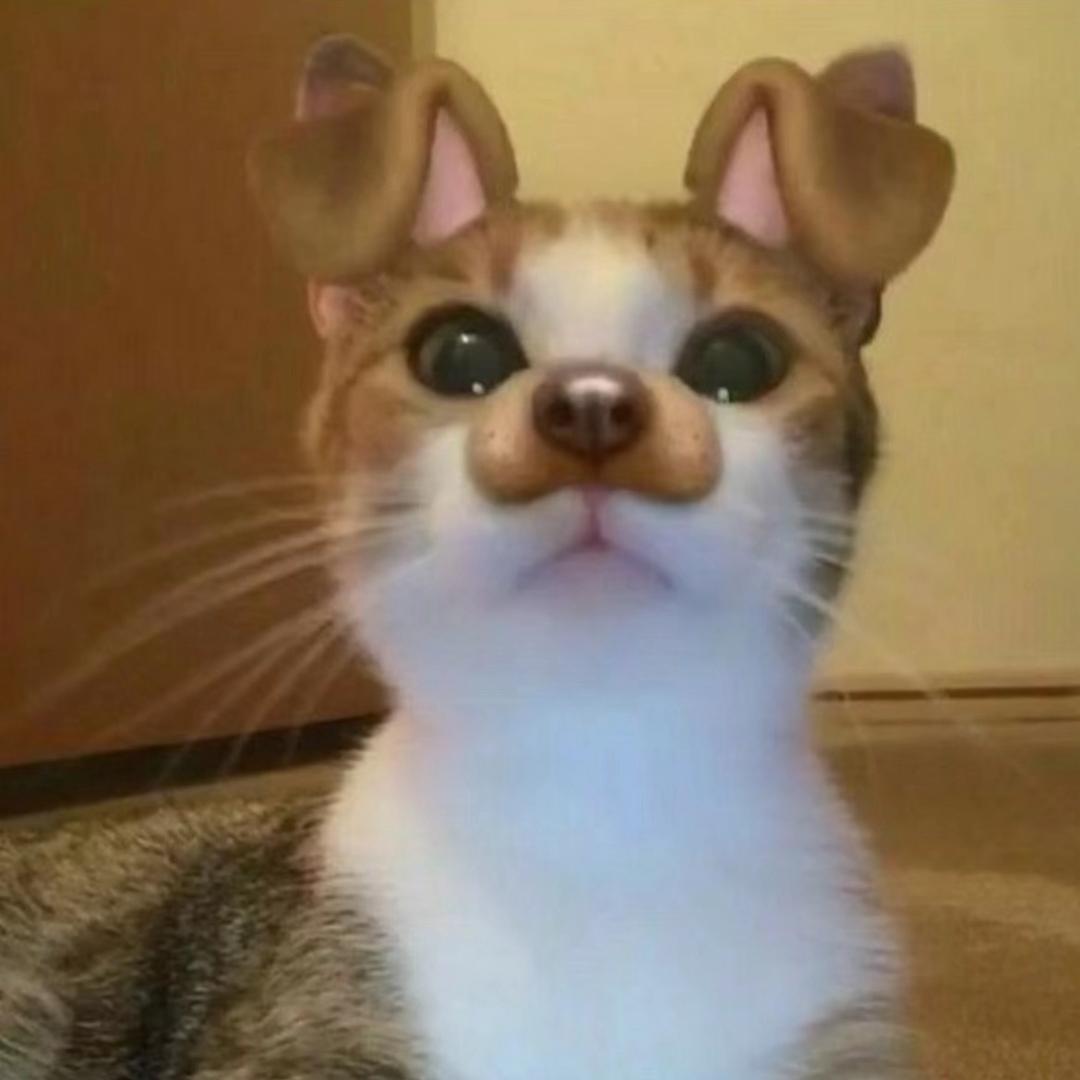 人类世界拜拜