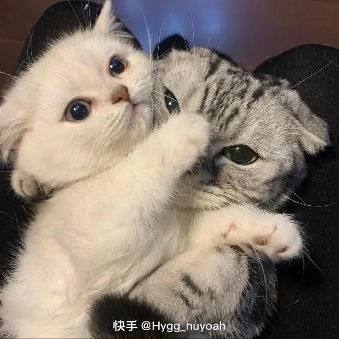 小艳呀🌝