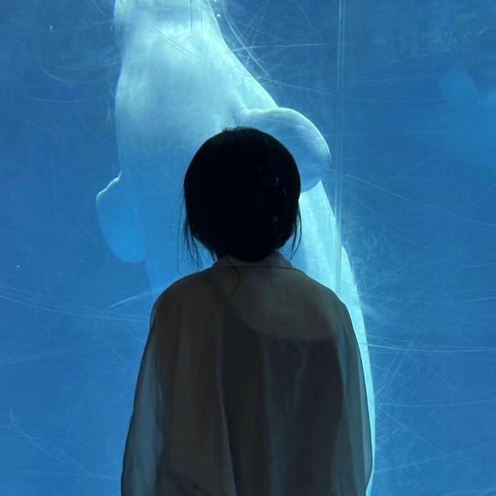 阿夏