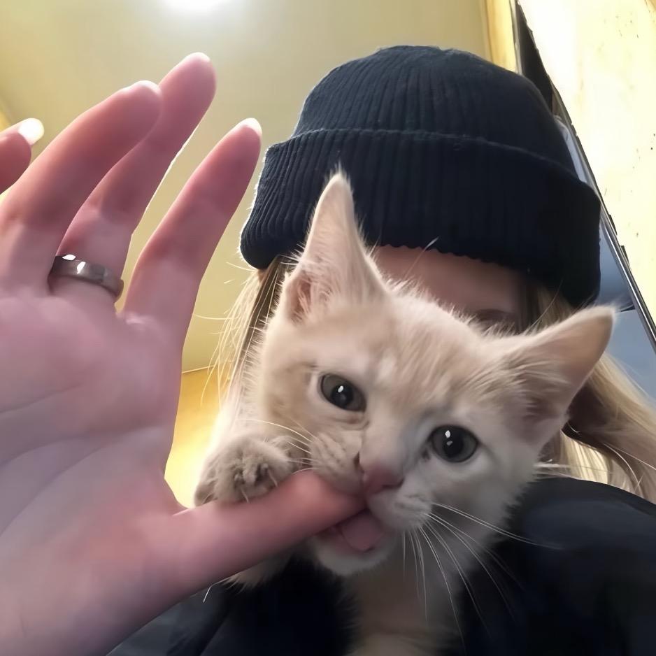 一口魚