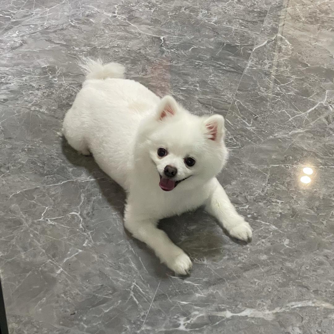 徐静茵哎