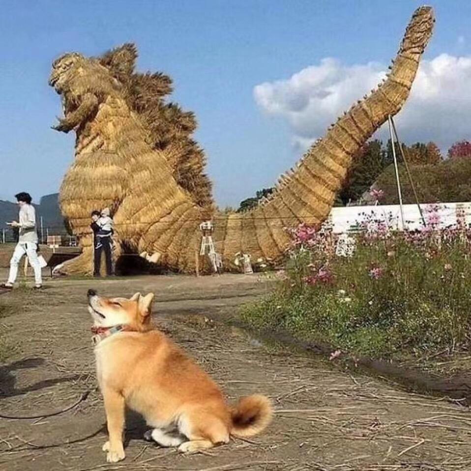 江苏独艺景观工程有限公司