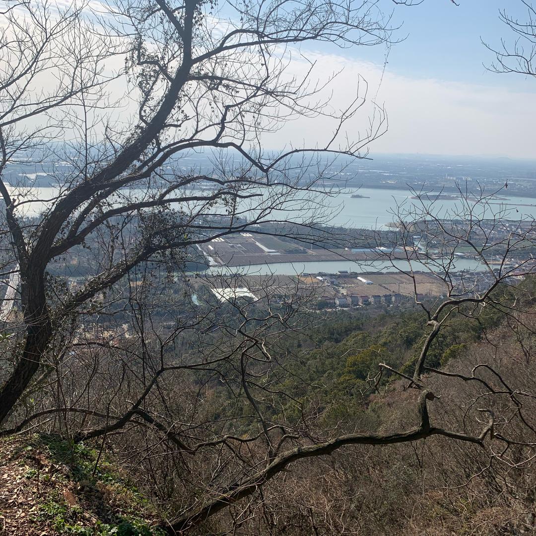 宝哥