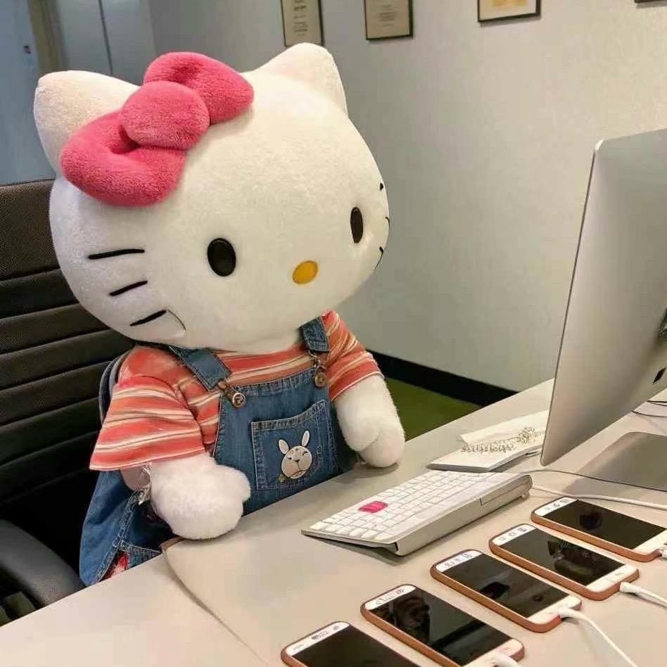 kitty小罗🐰