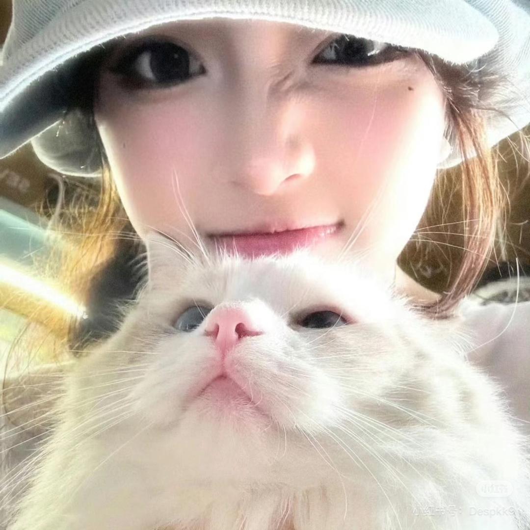 小菠萝🍍