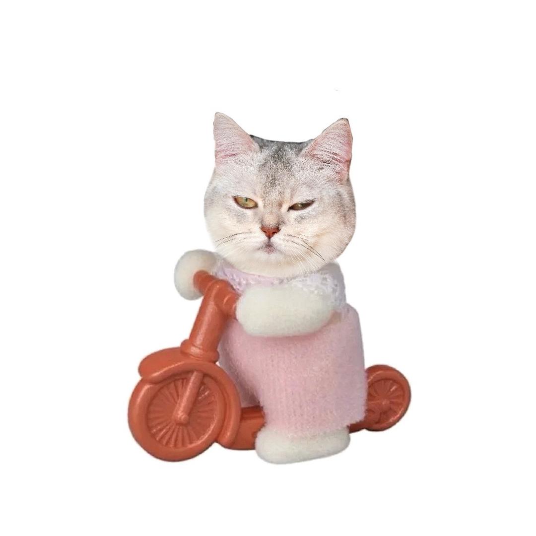 优雅的水晶天才