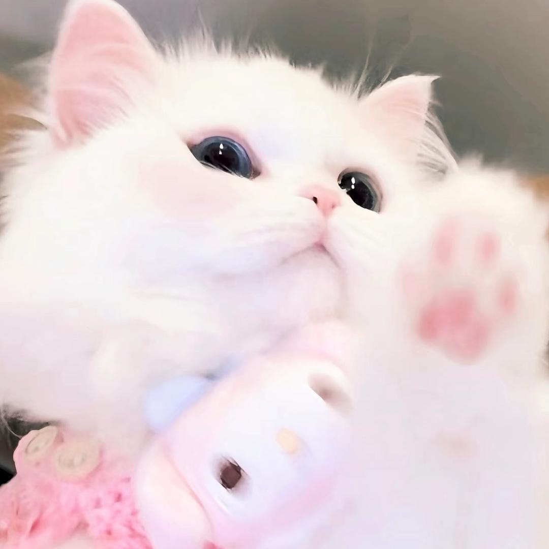 ＞u <